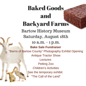 downtown cartersville, things to do in bartow, bartow history museum